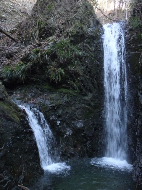 NET�R�x��hHALU�h