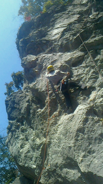 NET�R�x��hHALU�h