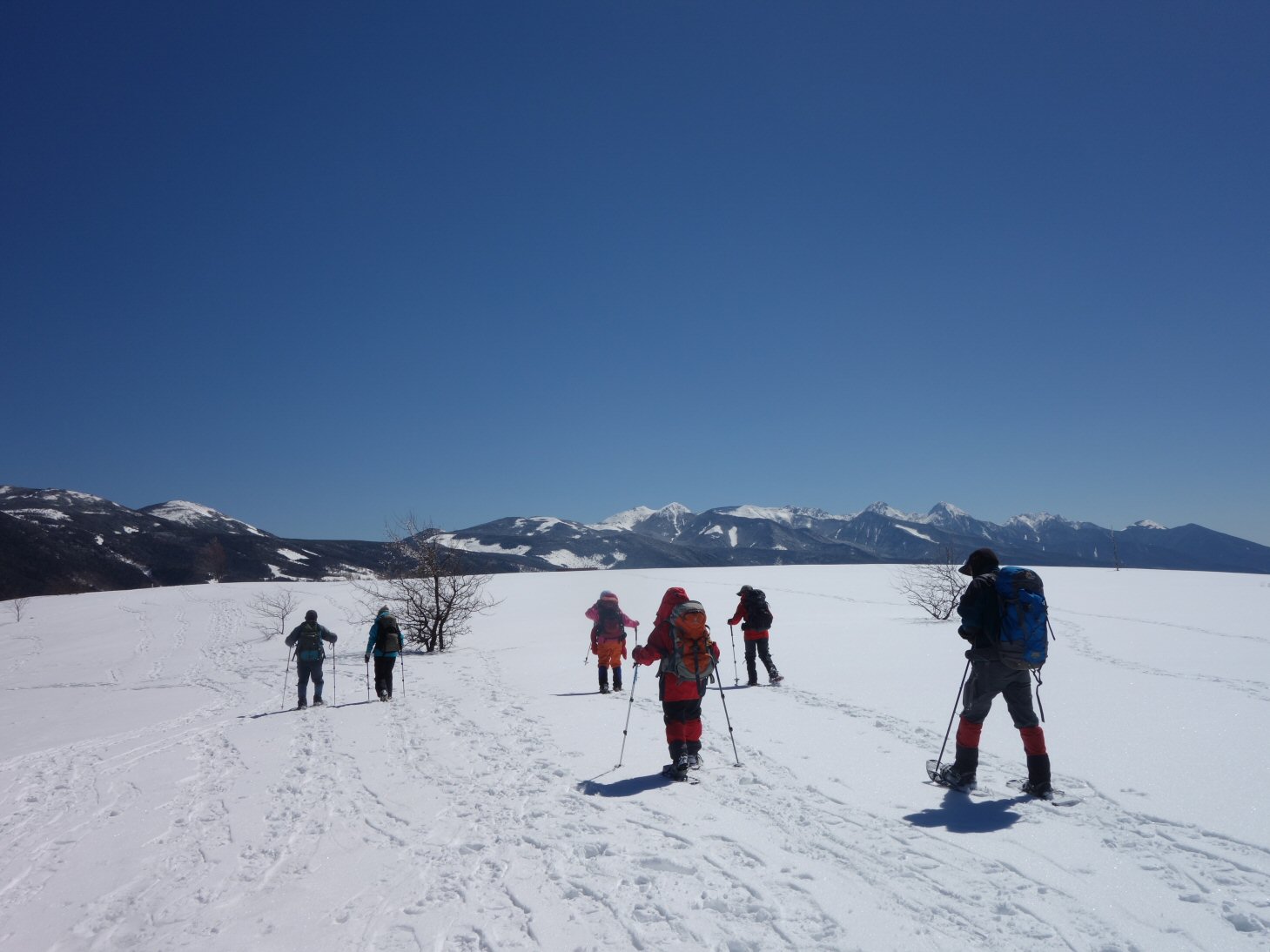 NET�R�x��hHALU�h