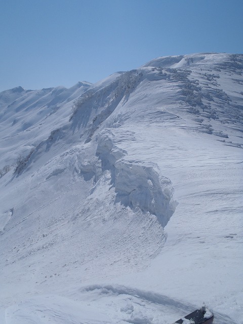 NET�R�x��hHALU�h