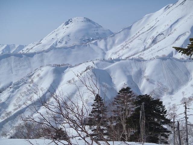 NET�R�x��hHALU�h