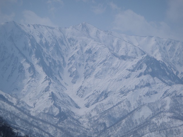 NET�R�x��hHALU�h