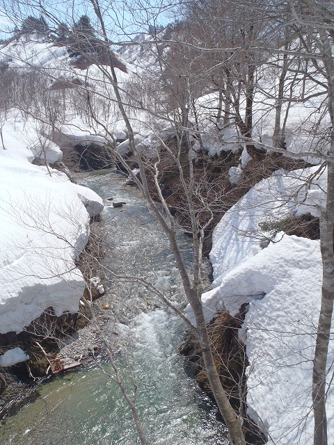 NET�R�x��hHALU�h