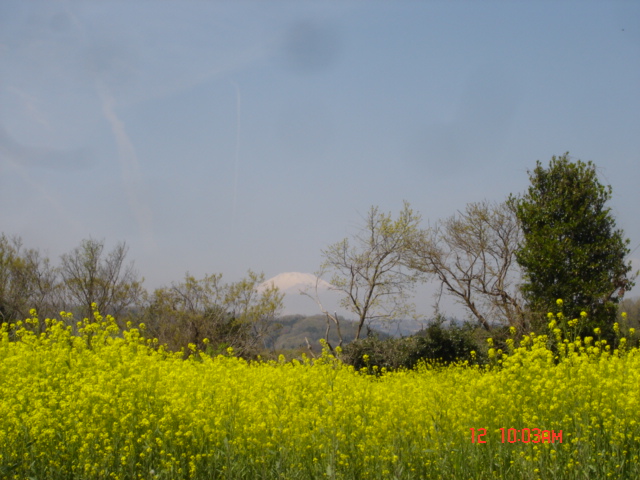 NET�R�x��hHALU�h