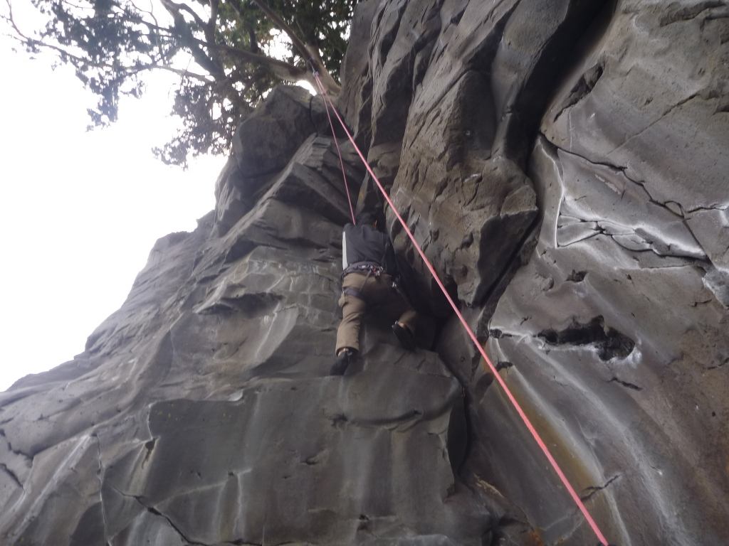 NET�R�x��hHALU�h