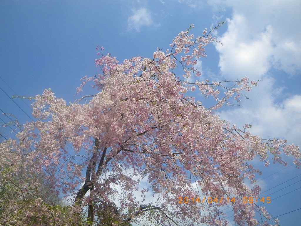 NET�R�x��hHALU�h