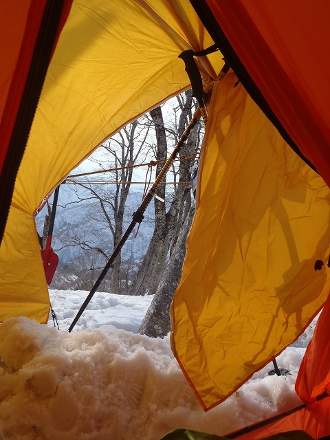 NET�R�x��hHALU�h