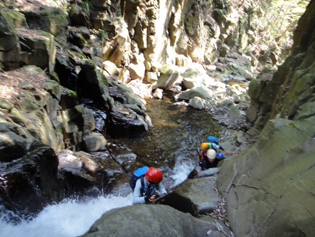 NET�R�x��hHALU�h