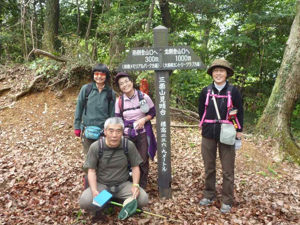 NET�R�x��hHALU�h