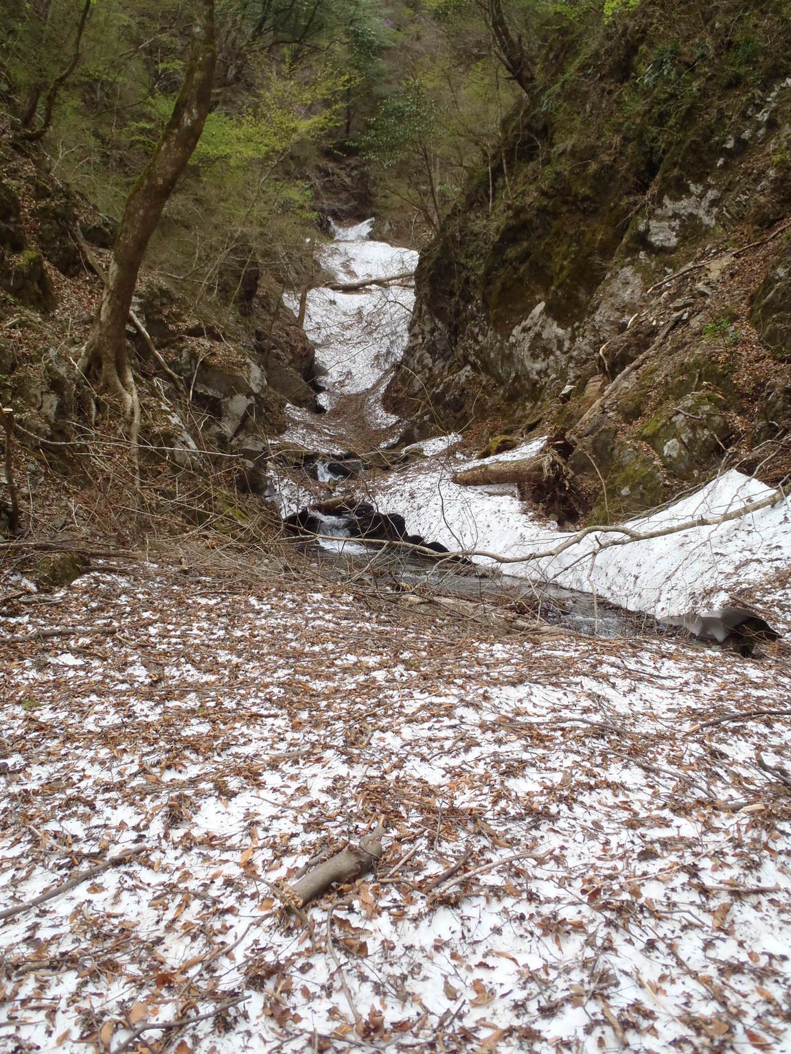 NET�R�x��hHALU�h