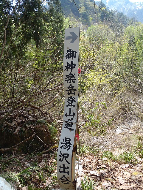 NET�R�x��hHALU�h