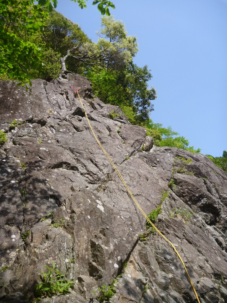 NET�R�x��hHALU�h