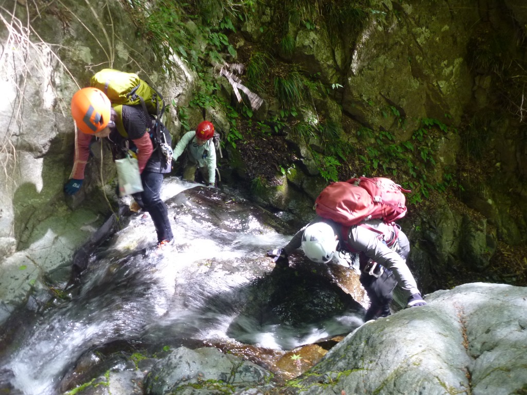 NET�R�x��hHALU�h