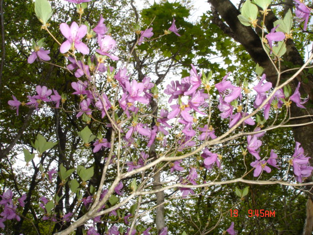 NET�R�x��hHALU�h