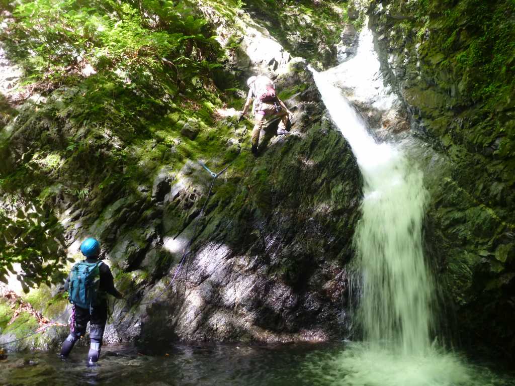 NET�R�x��hHALU�h