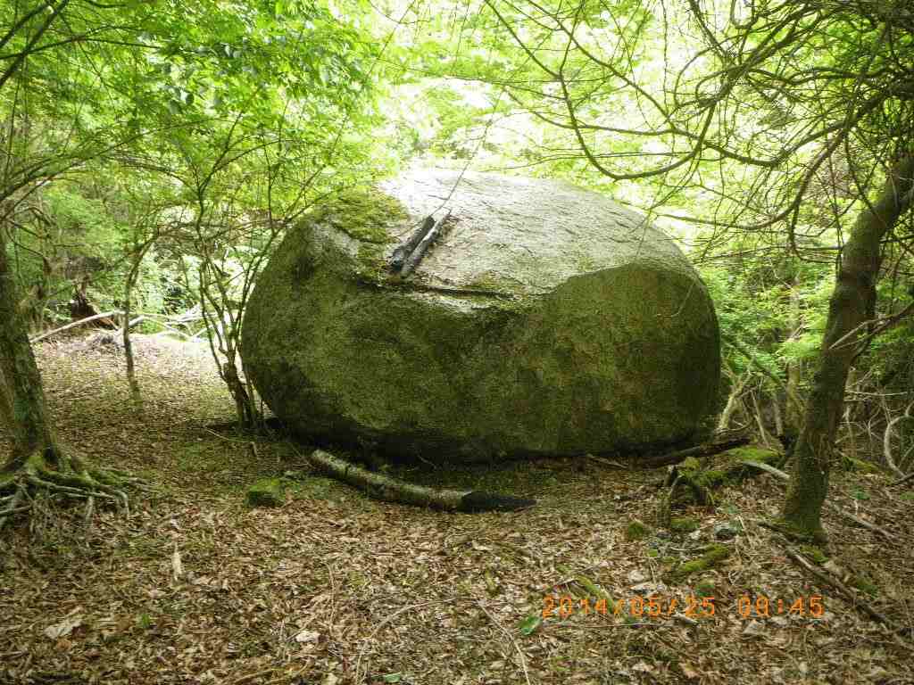 NET�R�x��hHALU�h