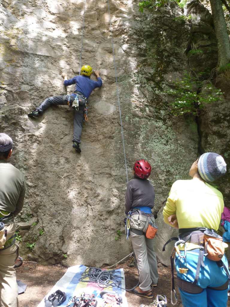 NET�R�x��hHALU�h