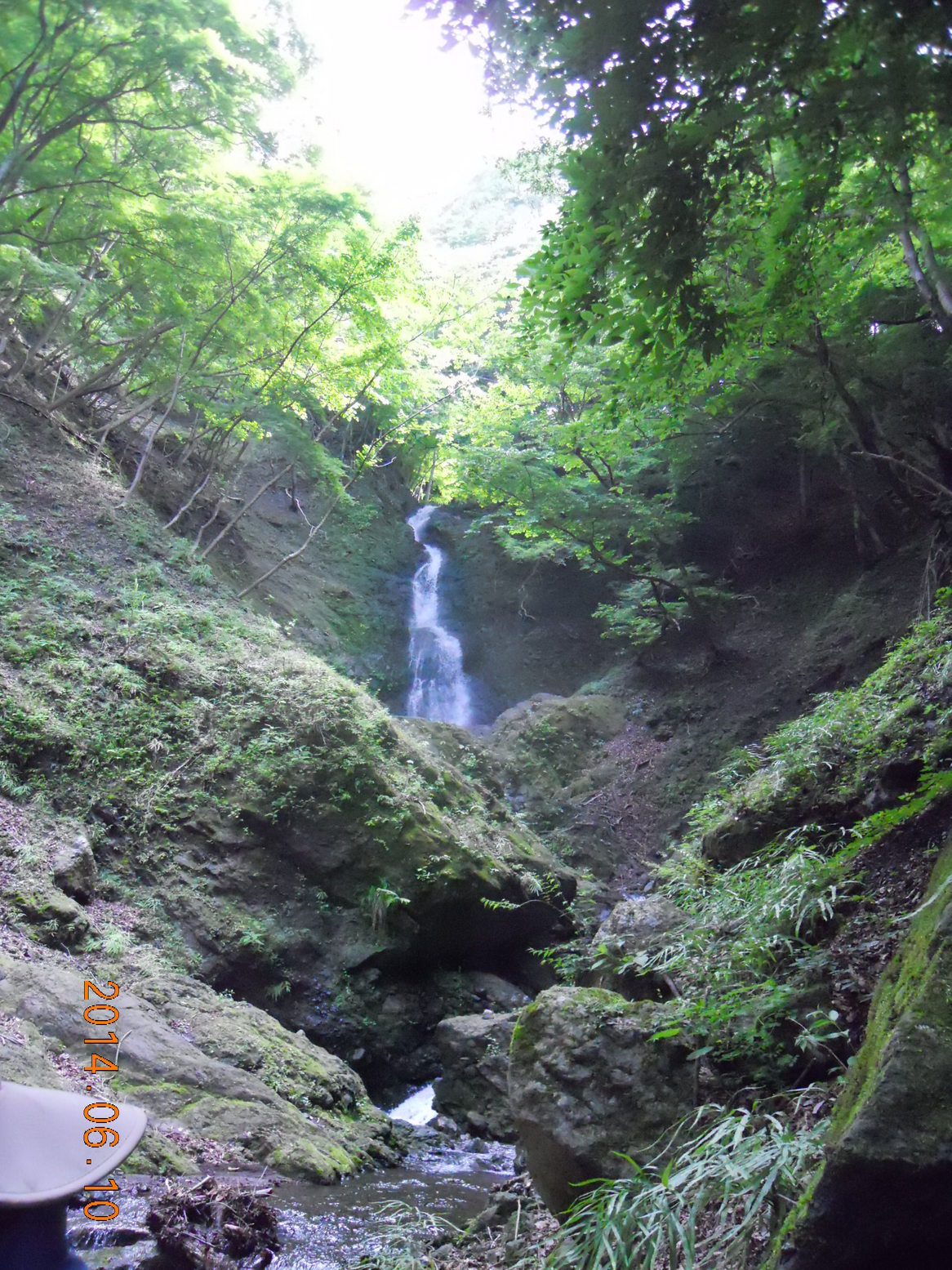 NET�R�x��hHALU�h