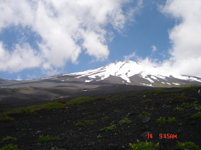 NET�R�x��hHALU�h