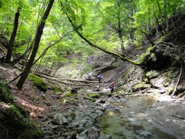 NET�R�x��hHALU�h