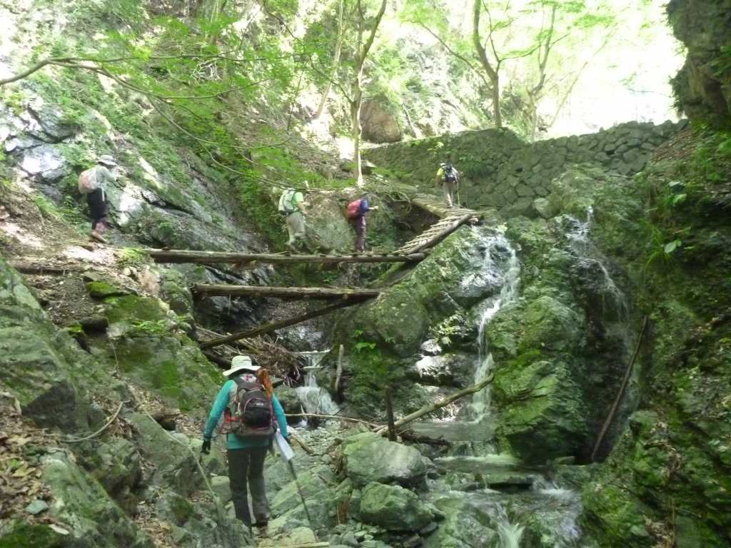 NET�R�x��hHALU�h