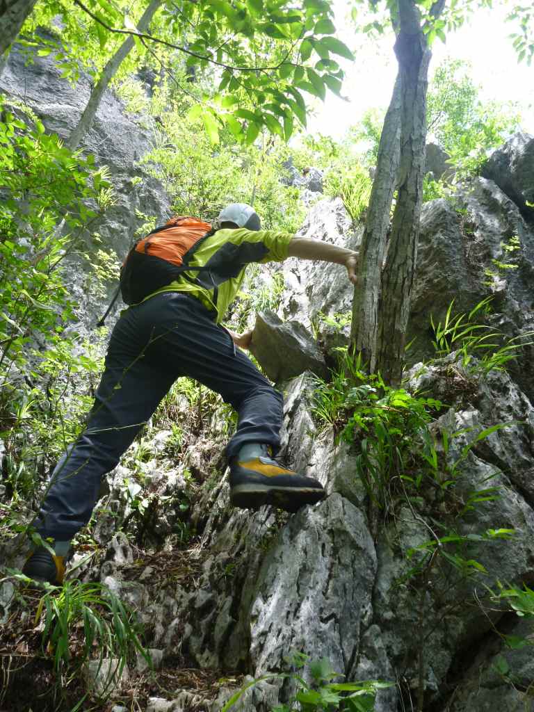 NET�R�x��hHALU�h