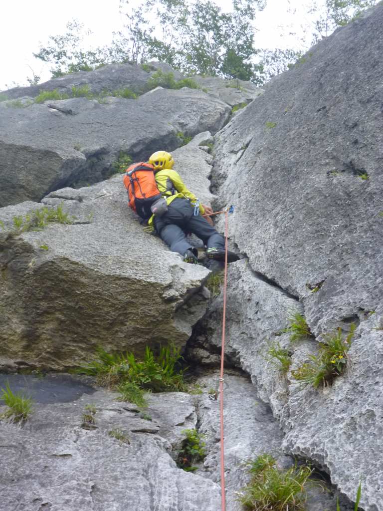 NET�R�x��hHALU�h