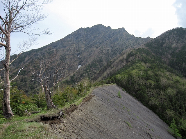 NET�R�x��hHALU�h