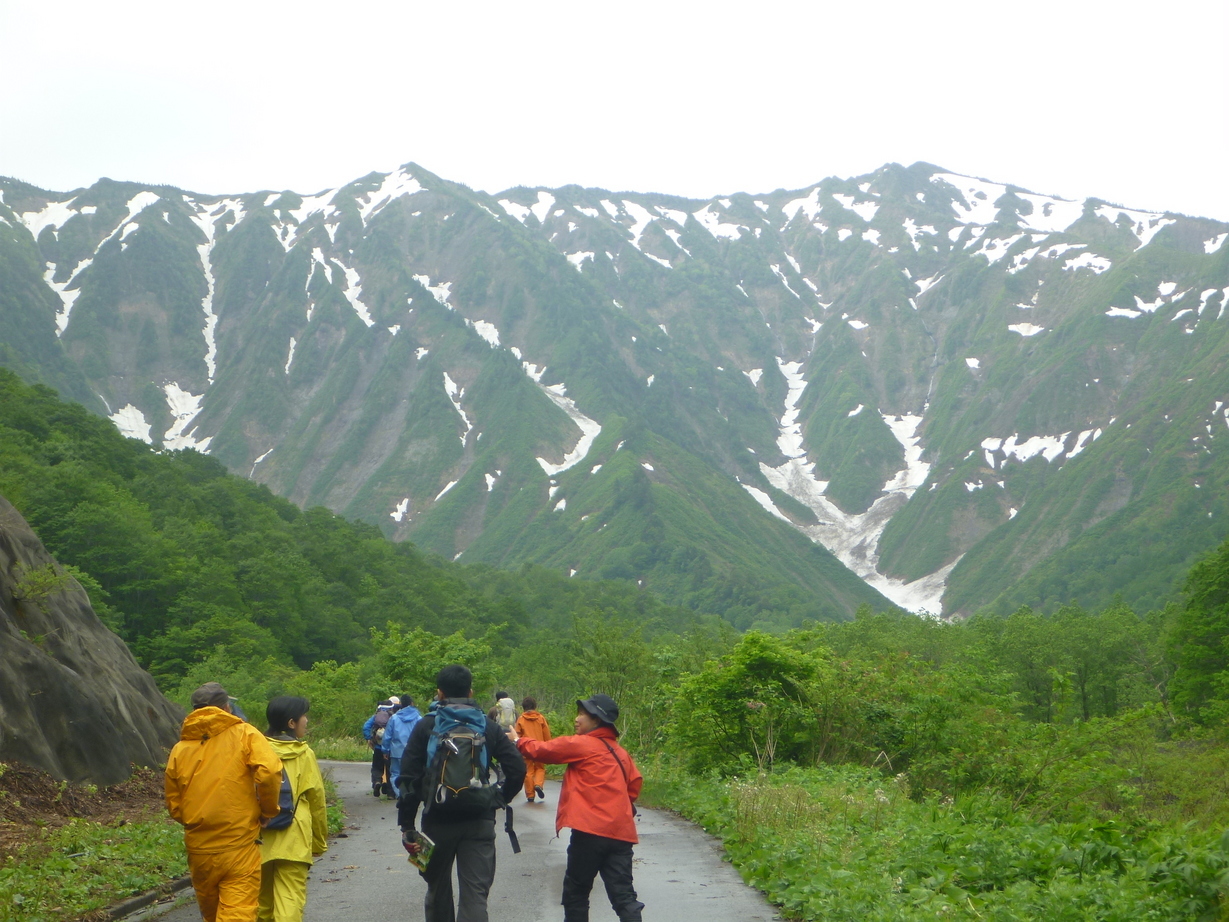 NET�R�x��hHALU�h