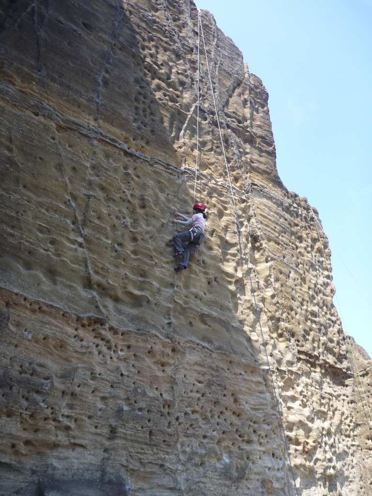 NET�R�x��hHALU�h