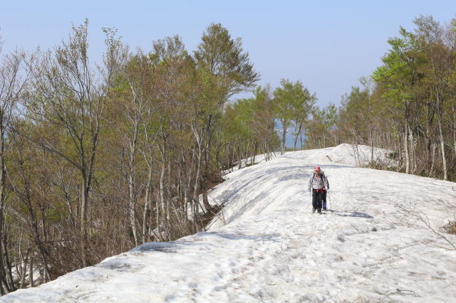 NET�R�x��h�g�`�k�t�h