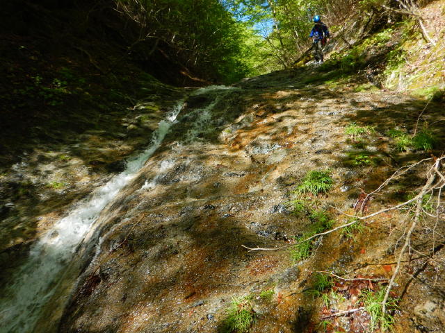 NET�R�x��h�g�`�k�t�h