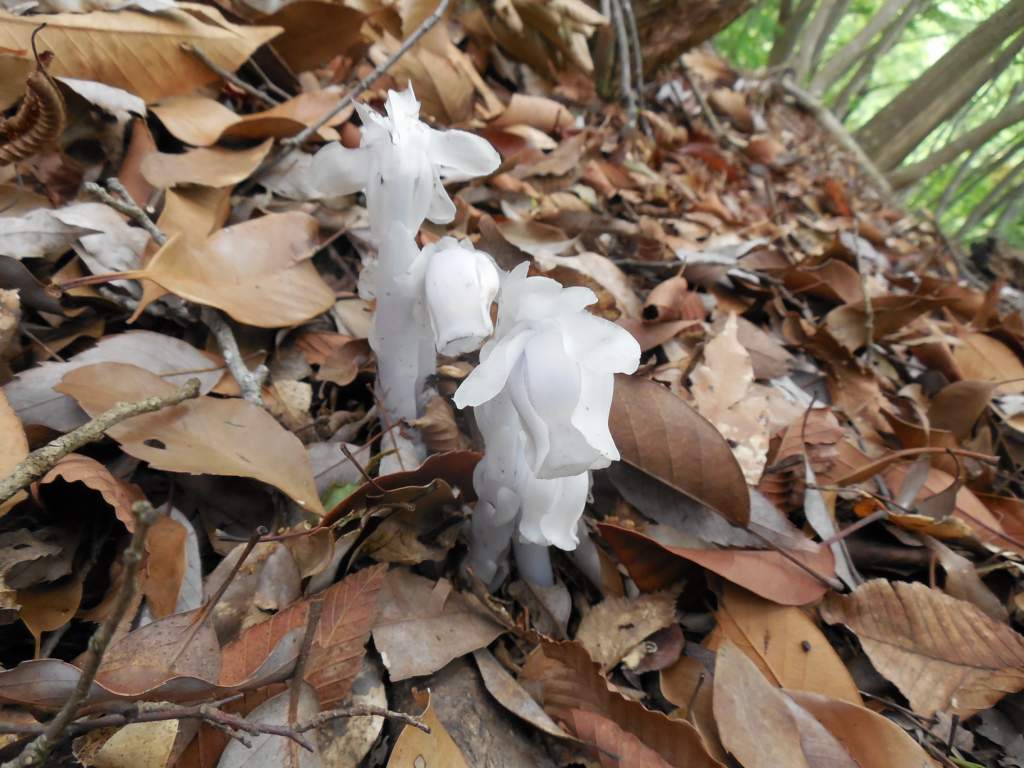 NET�R�x��h�g�`�k�t�h