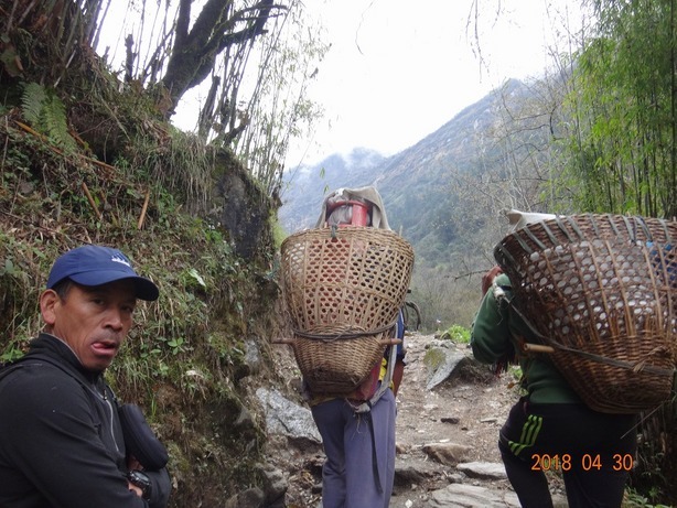 NET�R�x��h�g�`�k�t�h