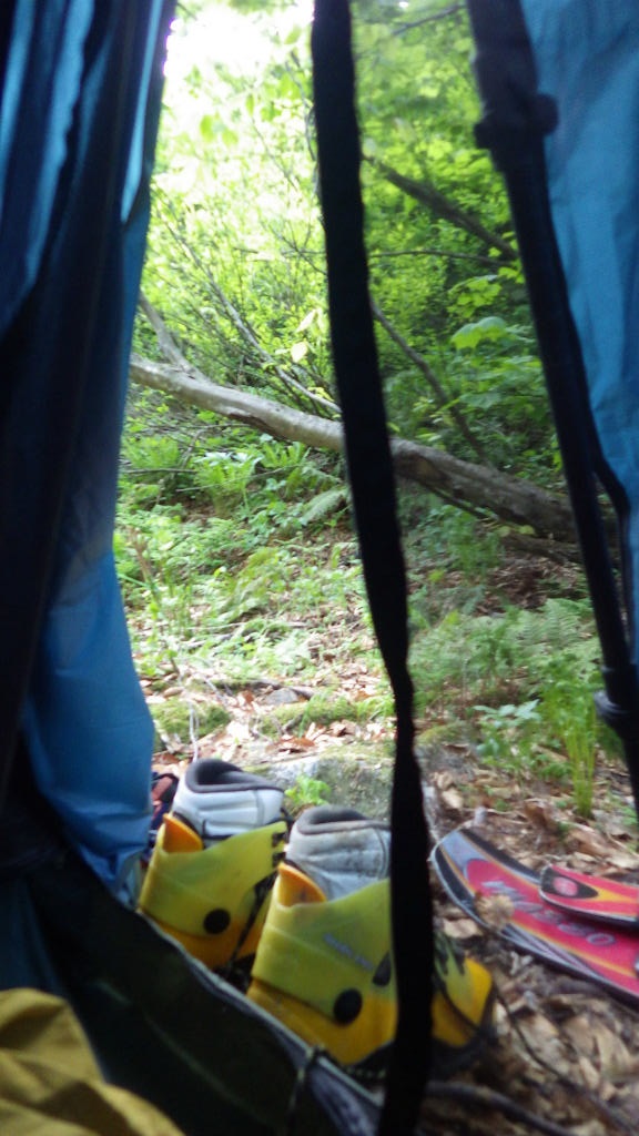 NET�R�x��h�g�`�k�t�h