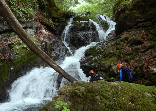 NET�R�x��h�g�`�k�t�h