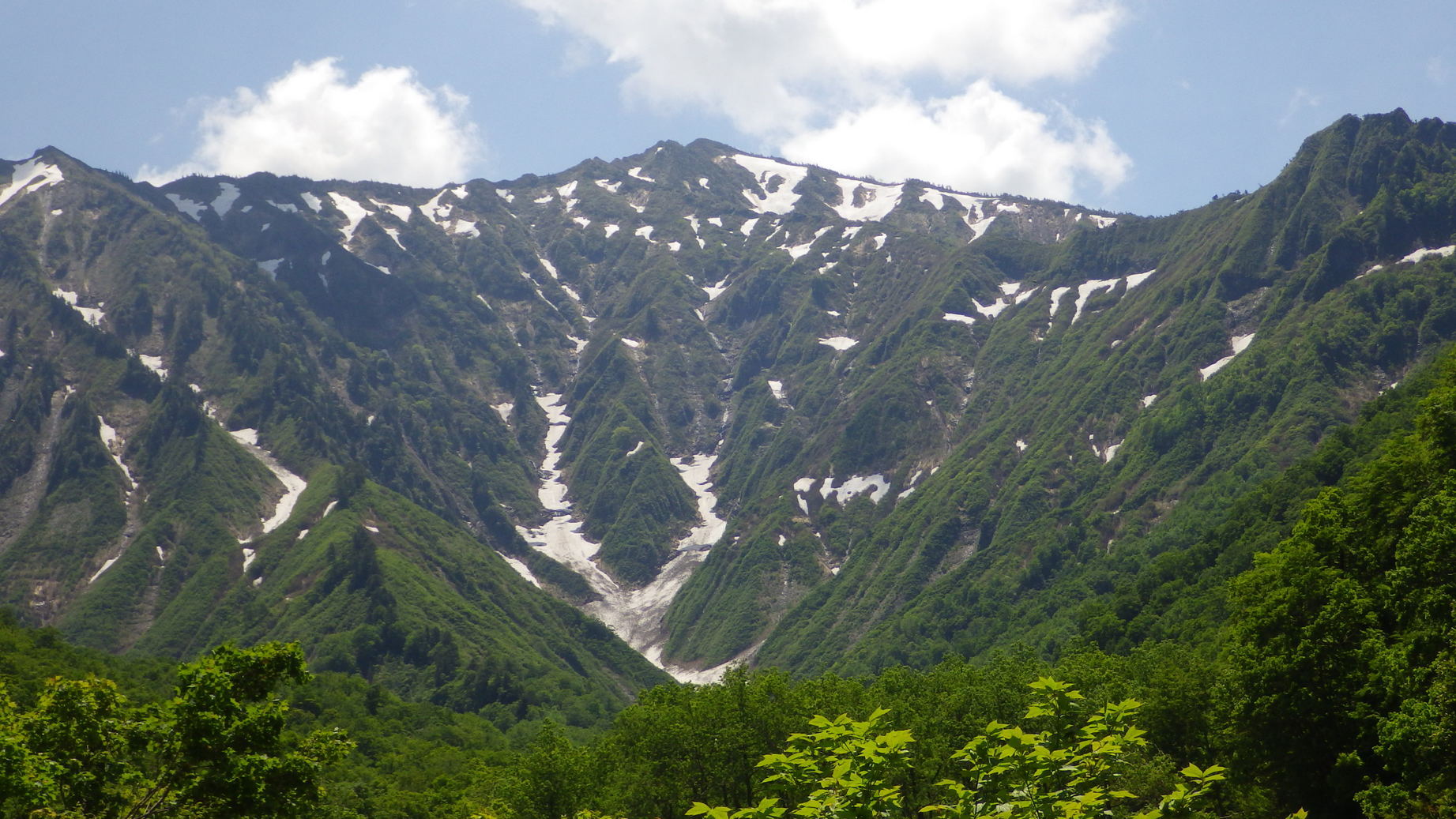 NET�R�x��h�g�`�k�t�h