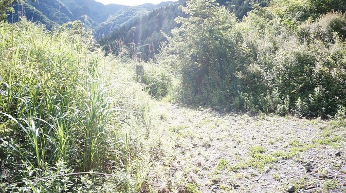 NET�R�x��h�g�`�k�t�h