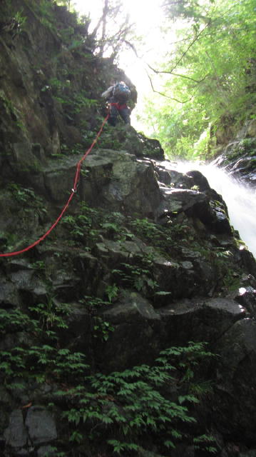 NET�R�x��h�g�`�k�t�h