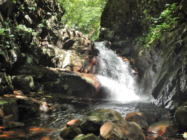 NET�R�x��h�g�`�k�t�h