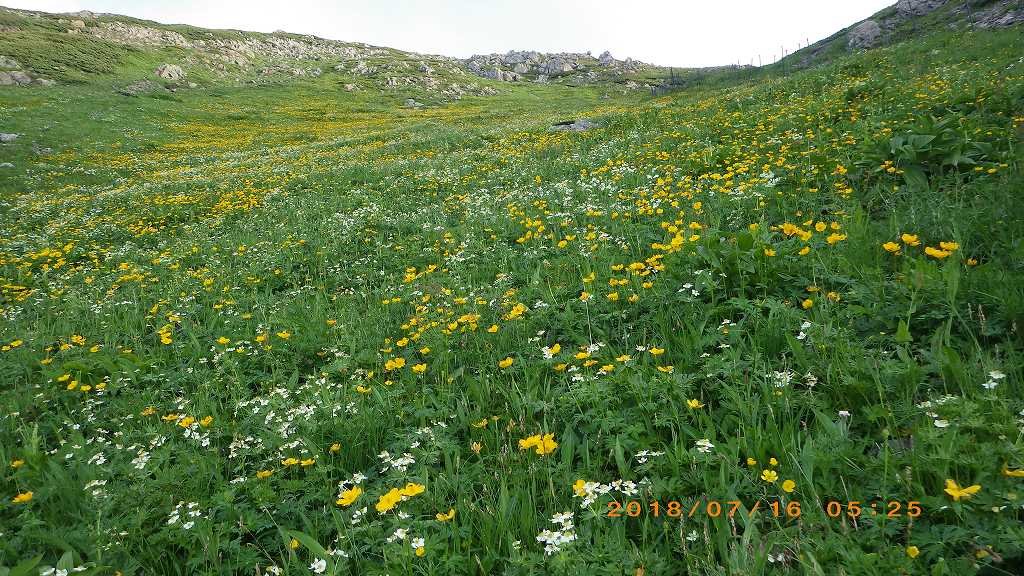 NET�R�x��h�g�`�k�t�h