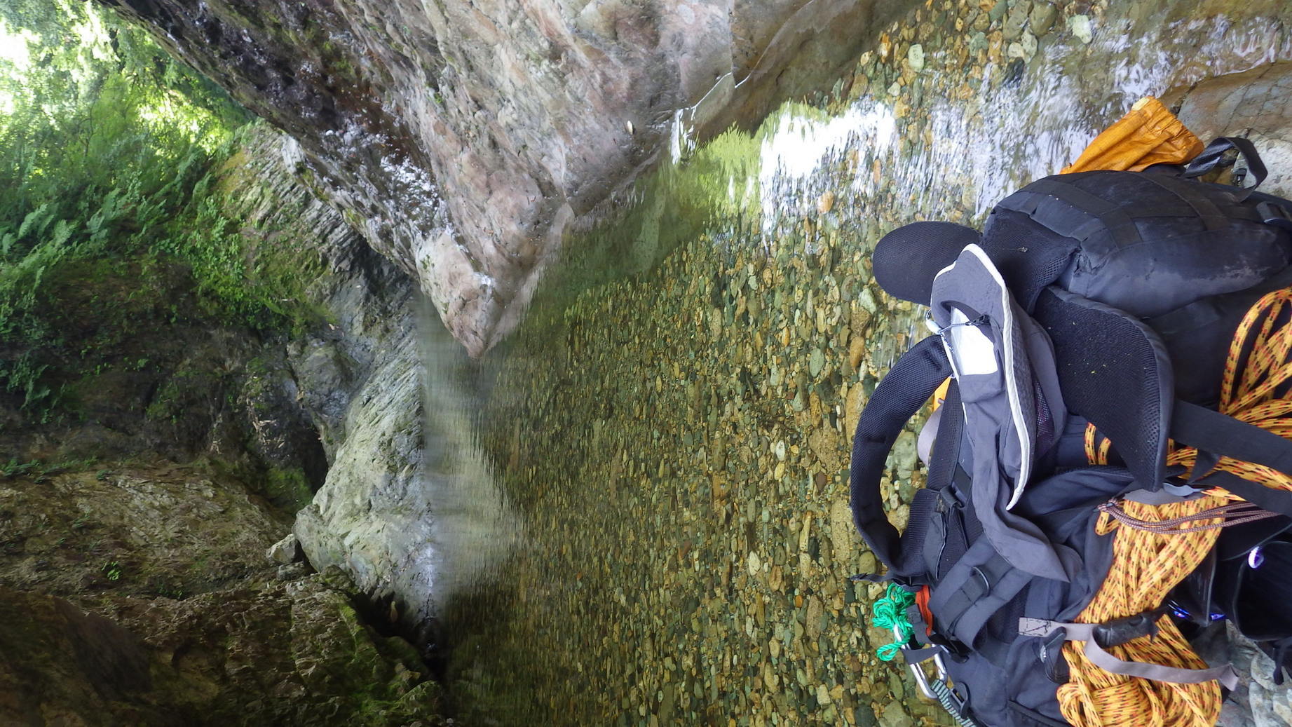 NET�R�x��h�g�`�k�t�h