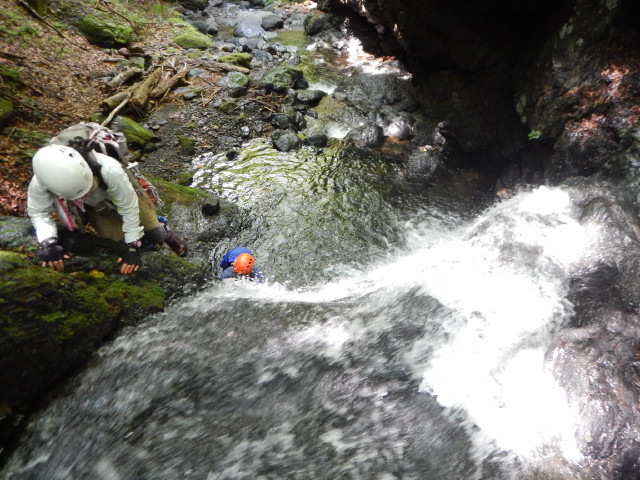 NET�R�x��h�g�`�k�t�h