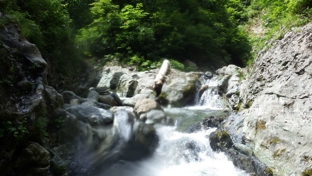 NET�R�x��h�g�`�k�t�h