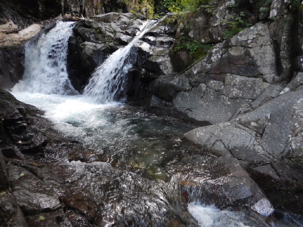 NET�R�x��h�g�`�k�t�h