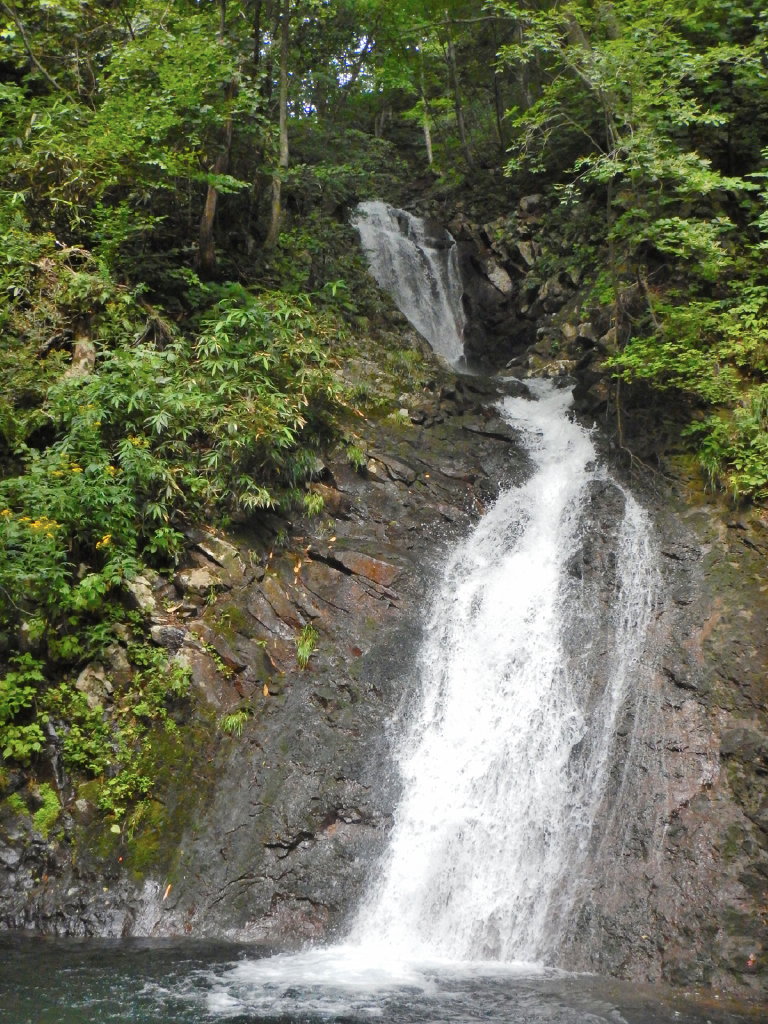 NET�R�x��h�g�`�k�t�h