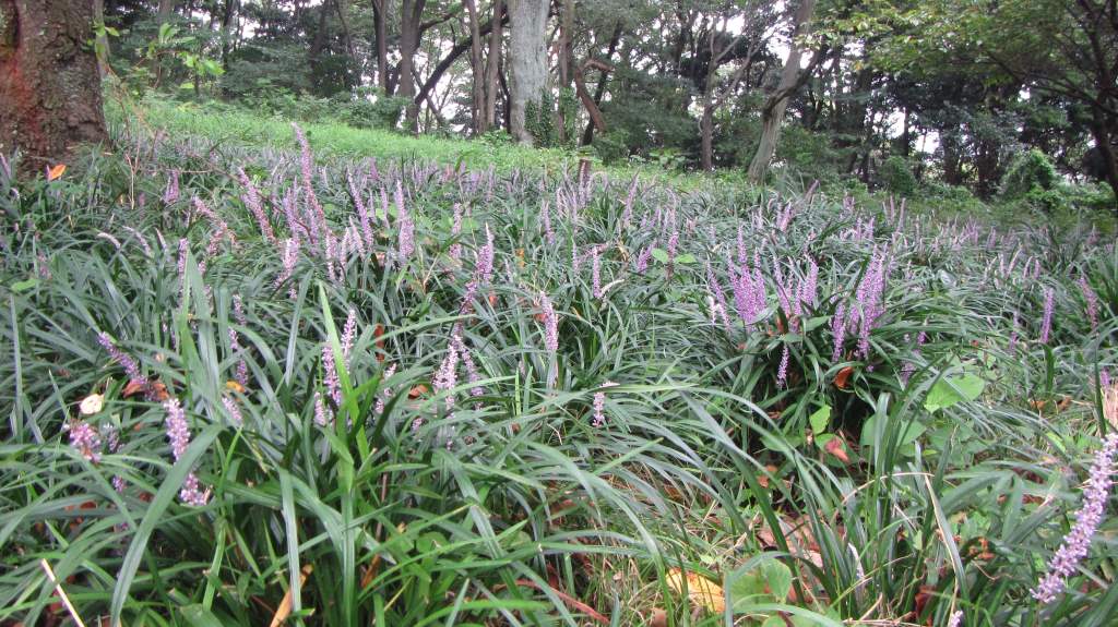 NET�R�x��h�g�`�k�t�h