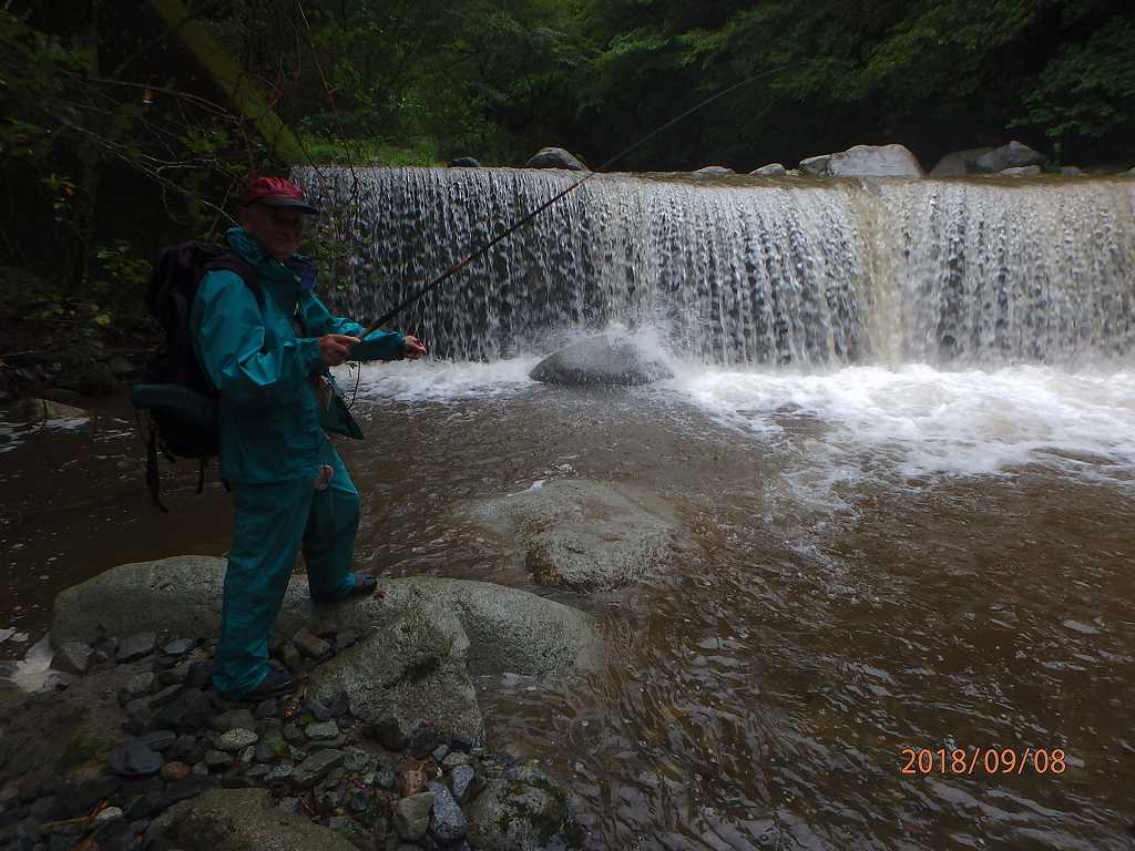 NET�R�x��h�g�`�k�t�h