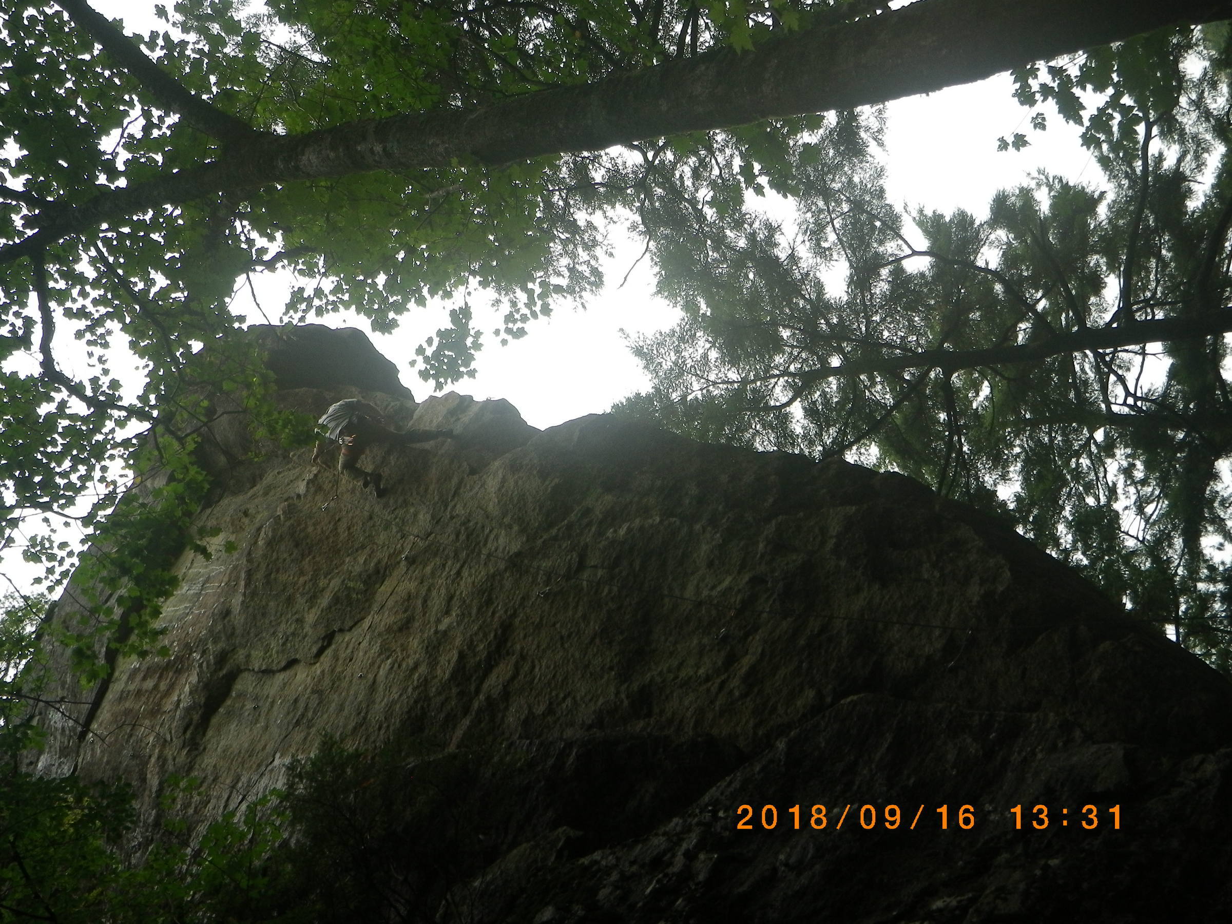 NET�R�x��h�g�`�k�t�h