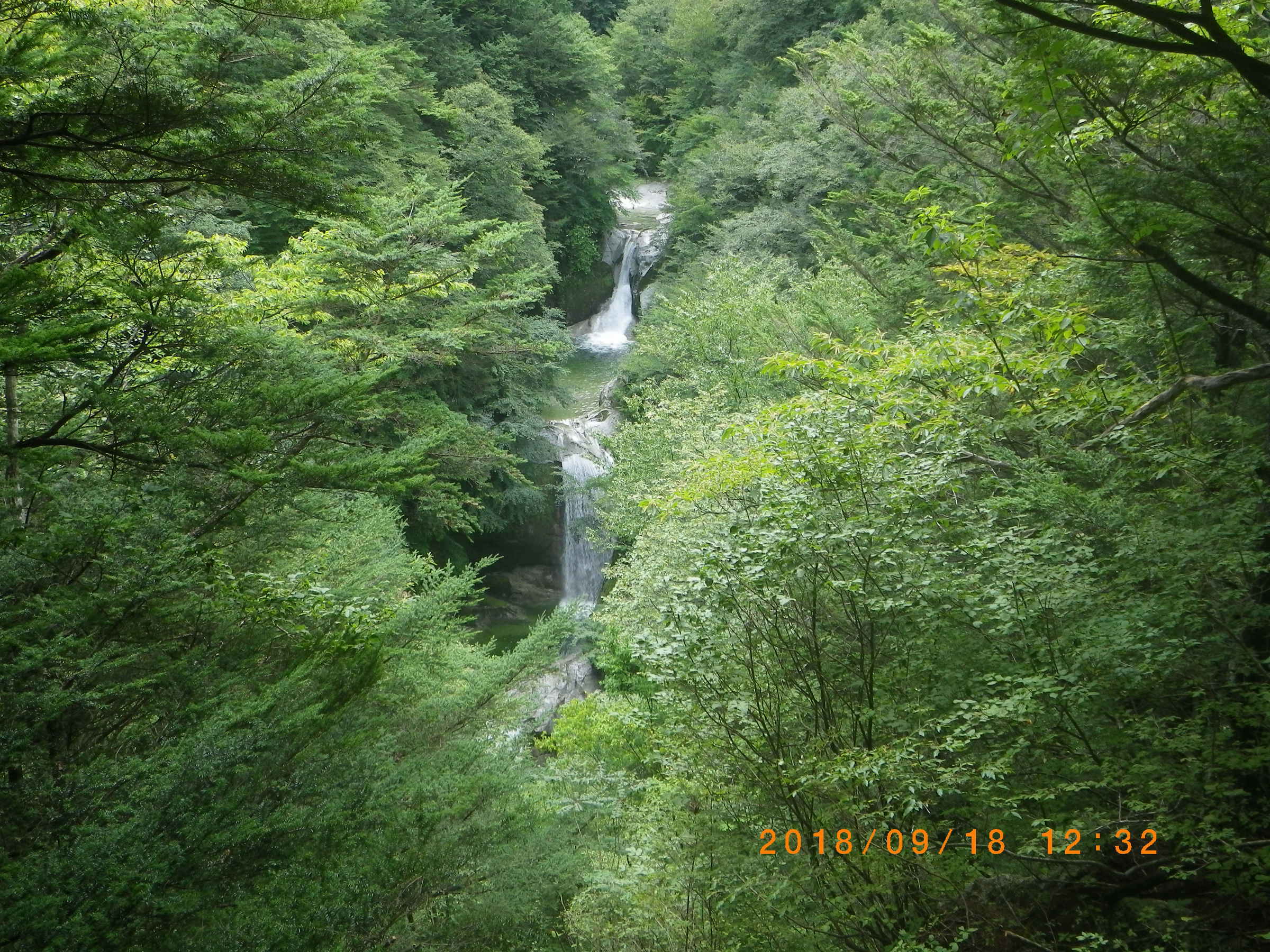 NET�R�x��h�g�`�k�t�h